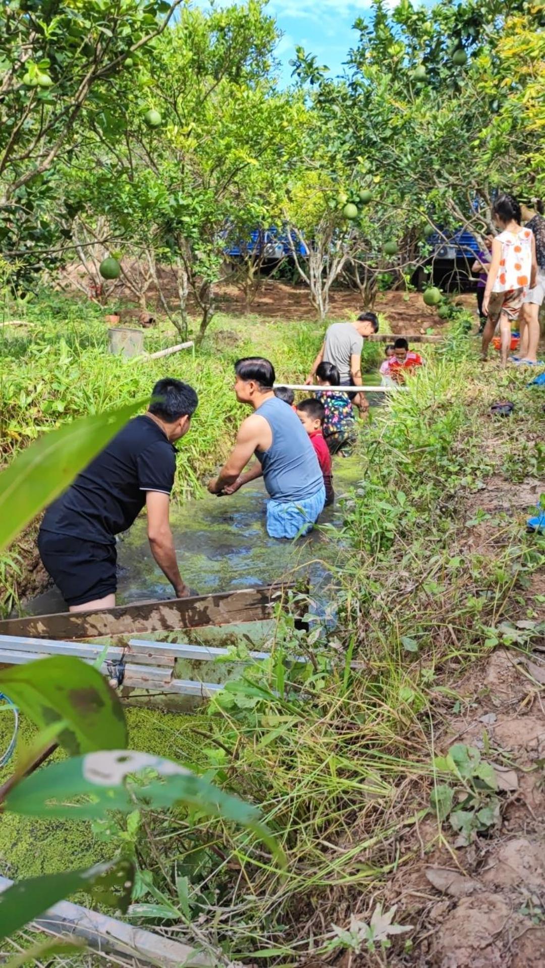 Con Phung Resort Mekong - Nature Escape With Free Boat Shuttle & Fishing Ben Tre Exterior photo